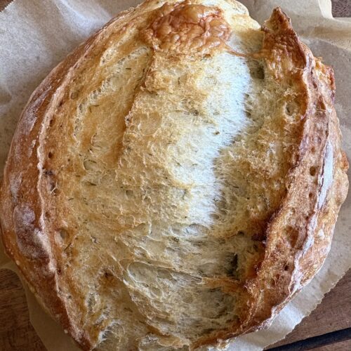 No-Knead Dill Gouda Artisan Bread. - harvestandnourish.com