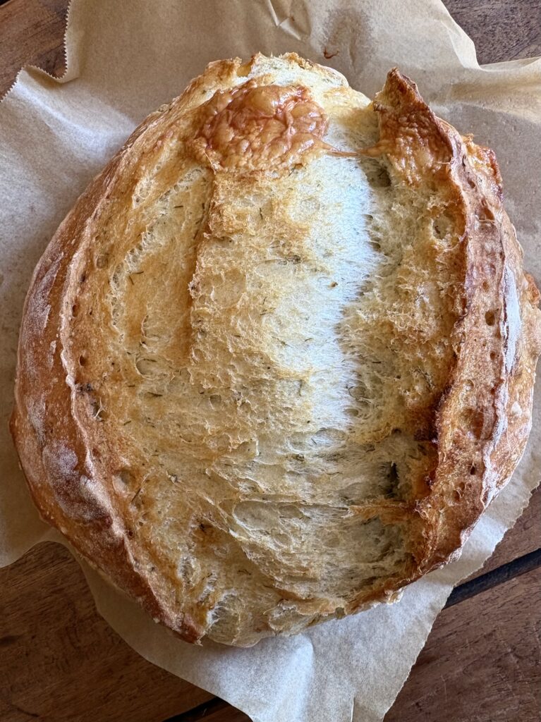 No-Knead Dill Gouda Artisan Bread. - harvestandnourish.com