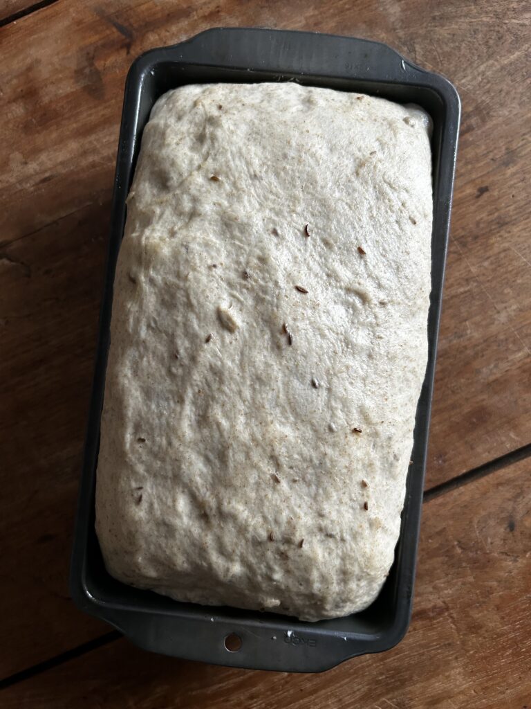 Simple No-Knead Sunflower Rye Bread. - harvestandnourish.com