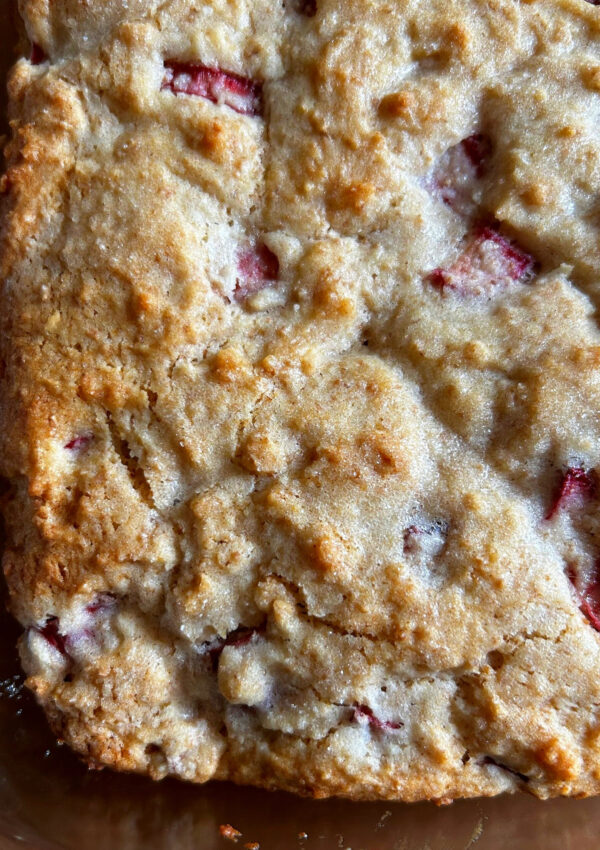Coconut Rhubarb Breakfast Cake