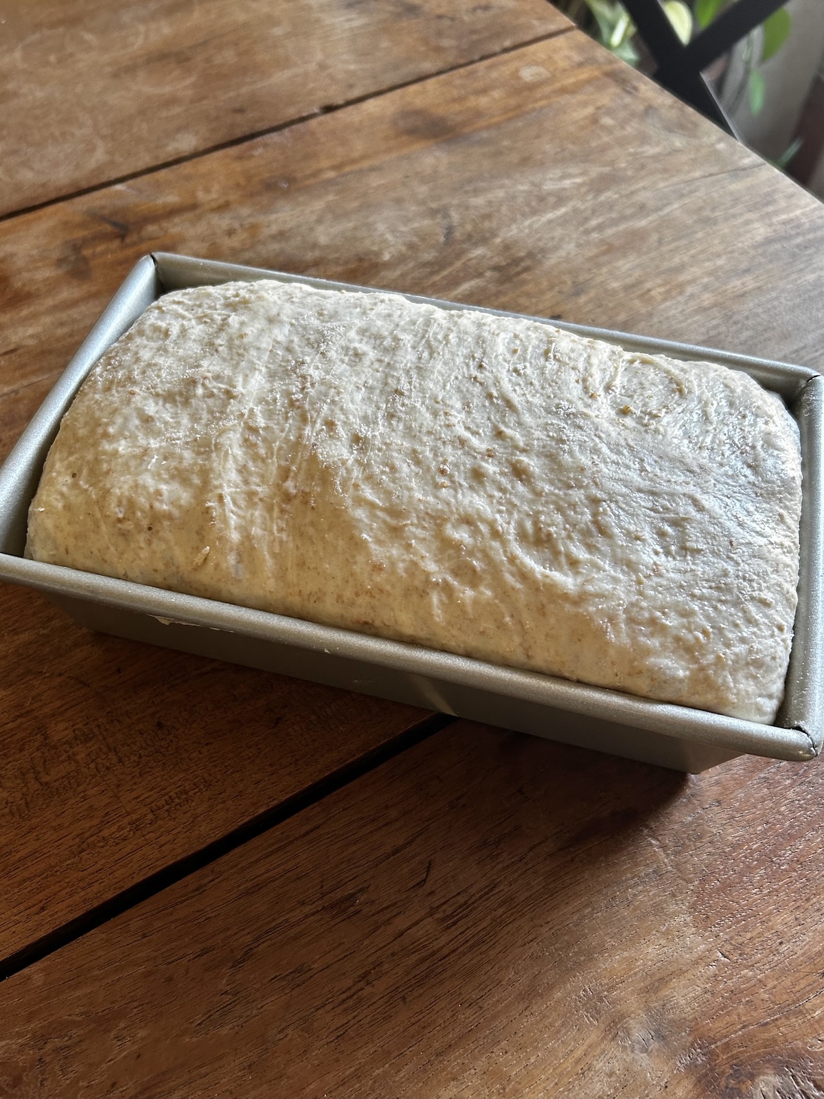 Honey Whole Wheat Sandwich Bread. - harvestandnourish.com