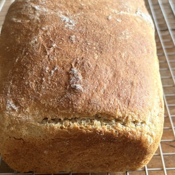 Honey Whole Wheat Sandwich Bread