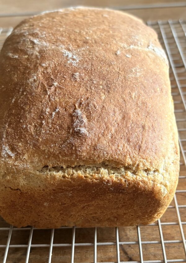 Honey Whole Wheat Sandwich Bread
