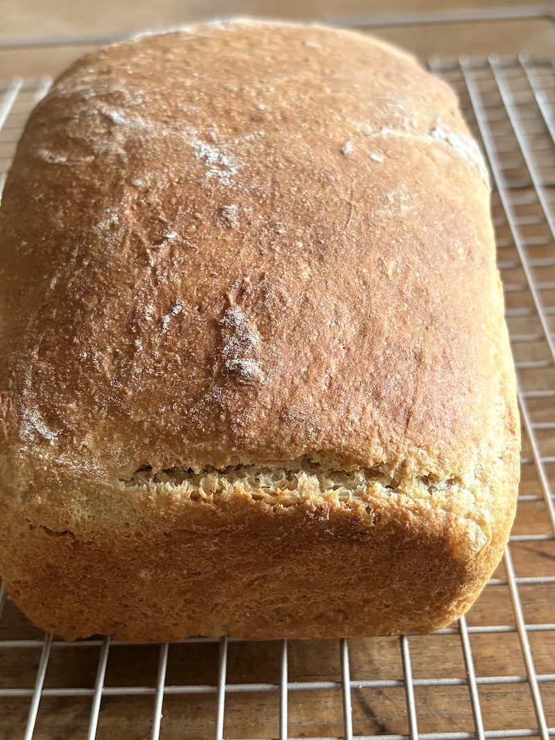 Honey Whole Wheat Sandwich Bread. - harvestandnourish.com