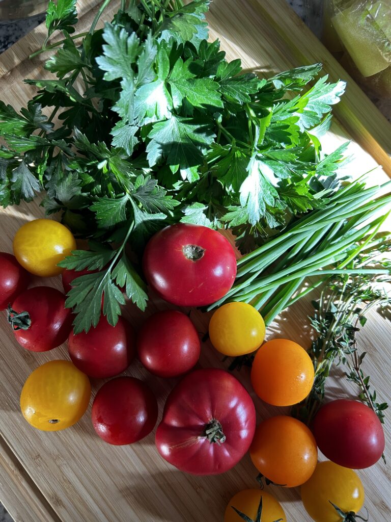 Herby Tomato Pasta with Burrata. - harvestandnourish.com