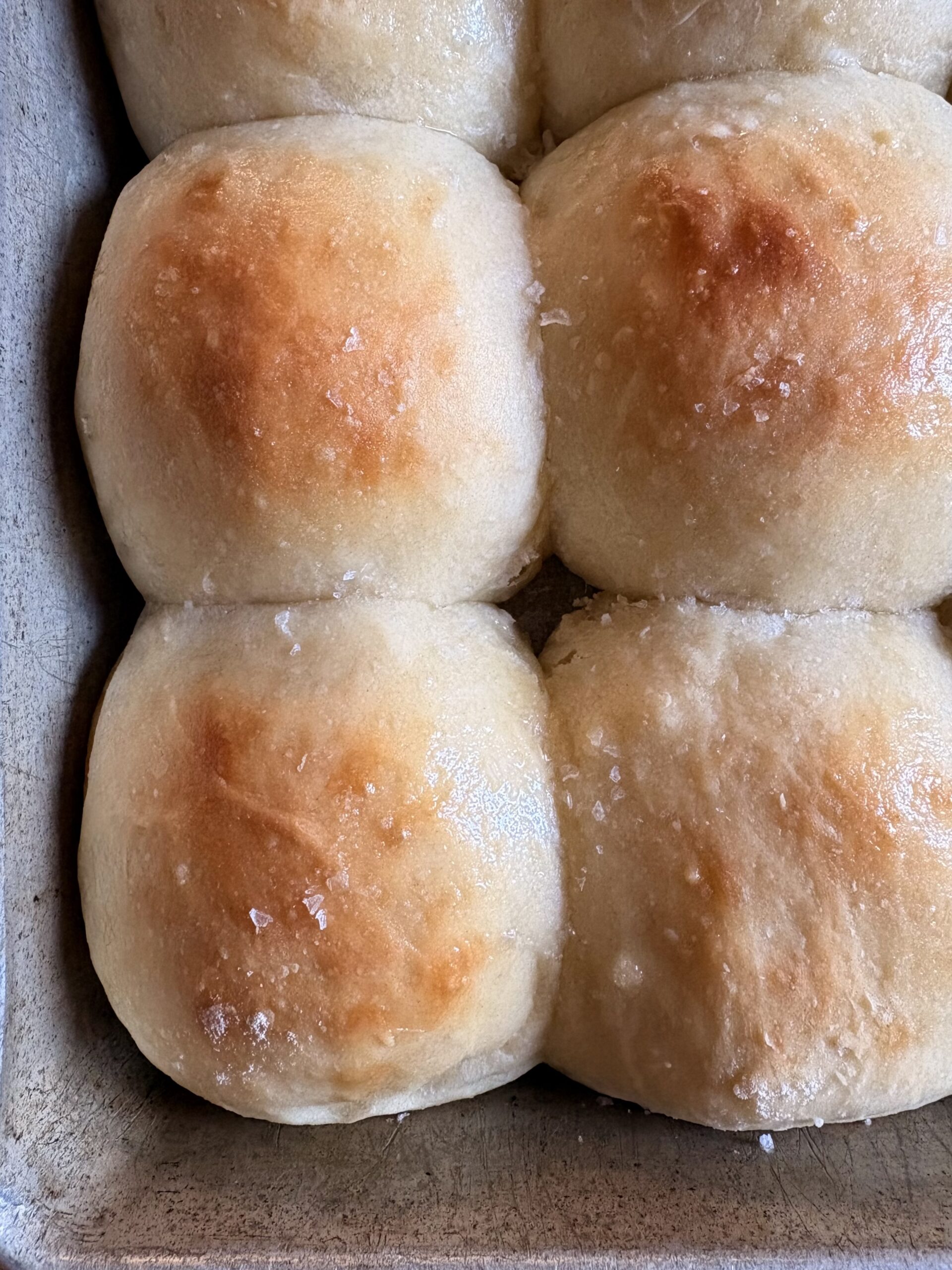 Buttermilk Dinner Rolls. - harvestandnourish.com
