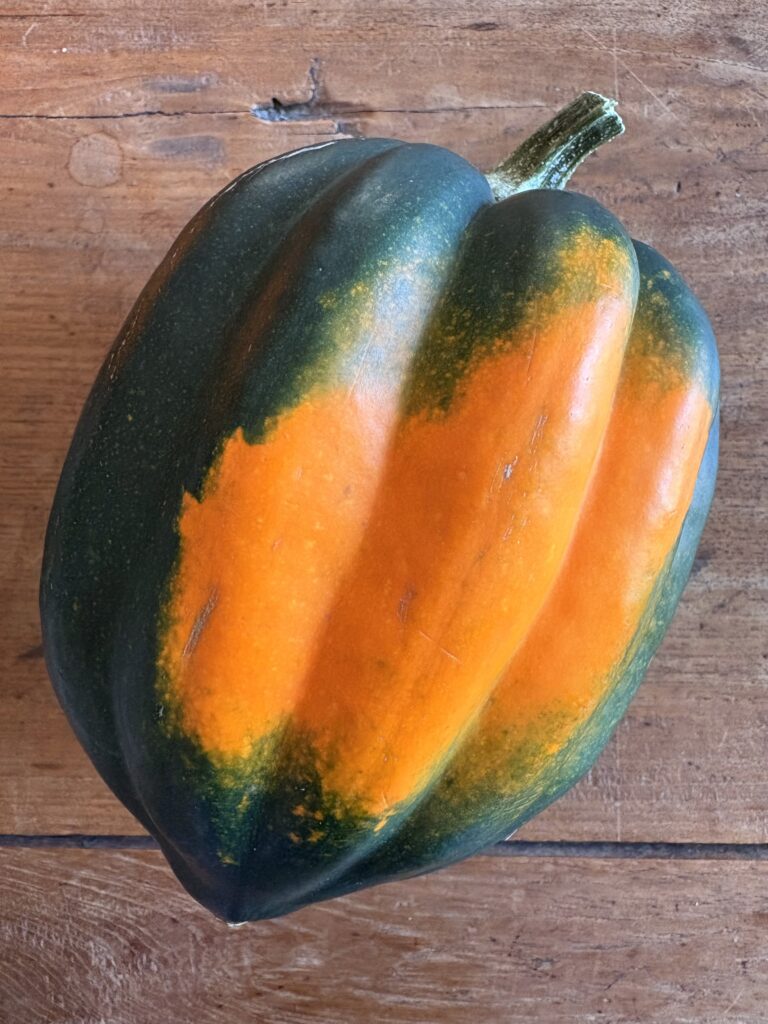 Sausage Stuffed Acorn Squash. - harvestandnourish.com
