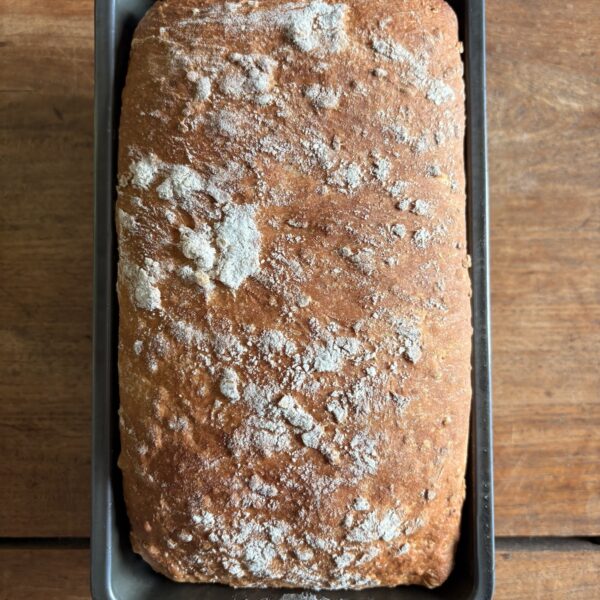 No-Knead Honey Oat Bread