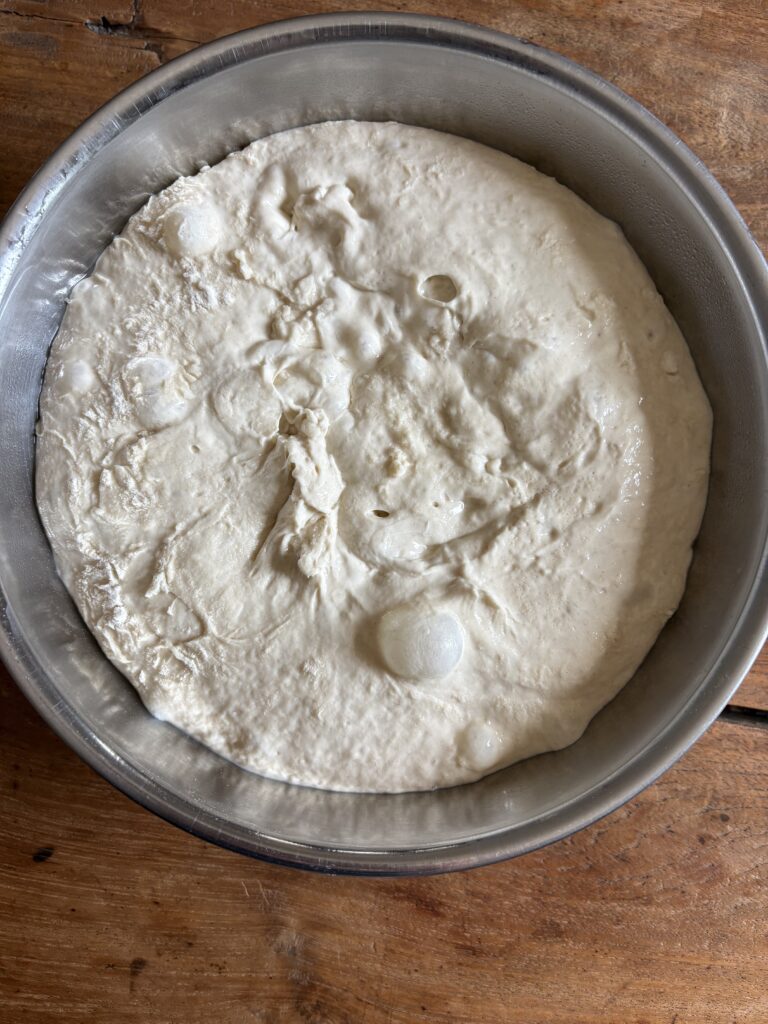 Why is My Dough So Sticky? - harvestandnourish.com